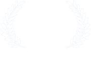 Bridge Fest