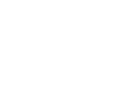 International New York Film Festival