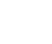 South Film and Arts Academy Festival
