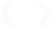 The Best Film Festival