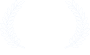 Viddy Awards