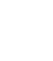 V.i.Z. Film Fest